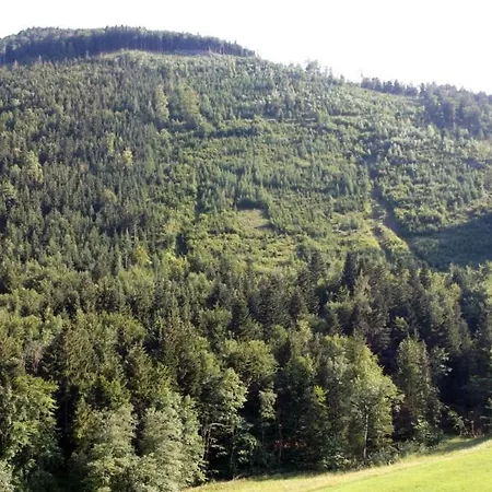 Kleine Einfache Ferienwohnung In Malerischer Umgebung Salzburgs Koppl Exterior photo