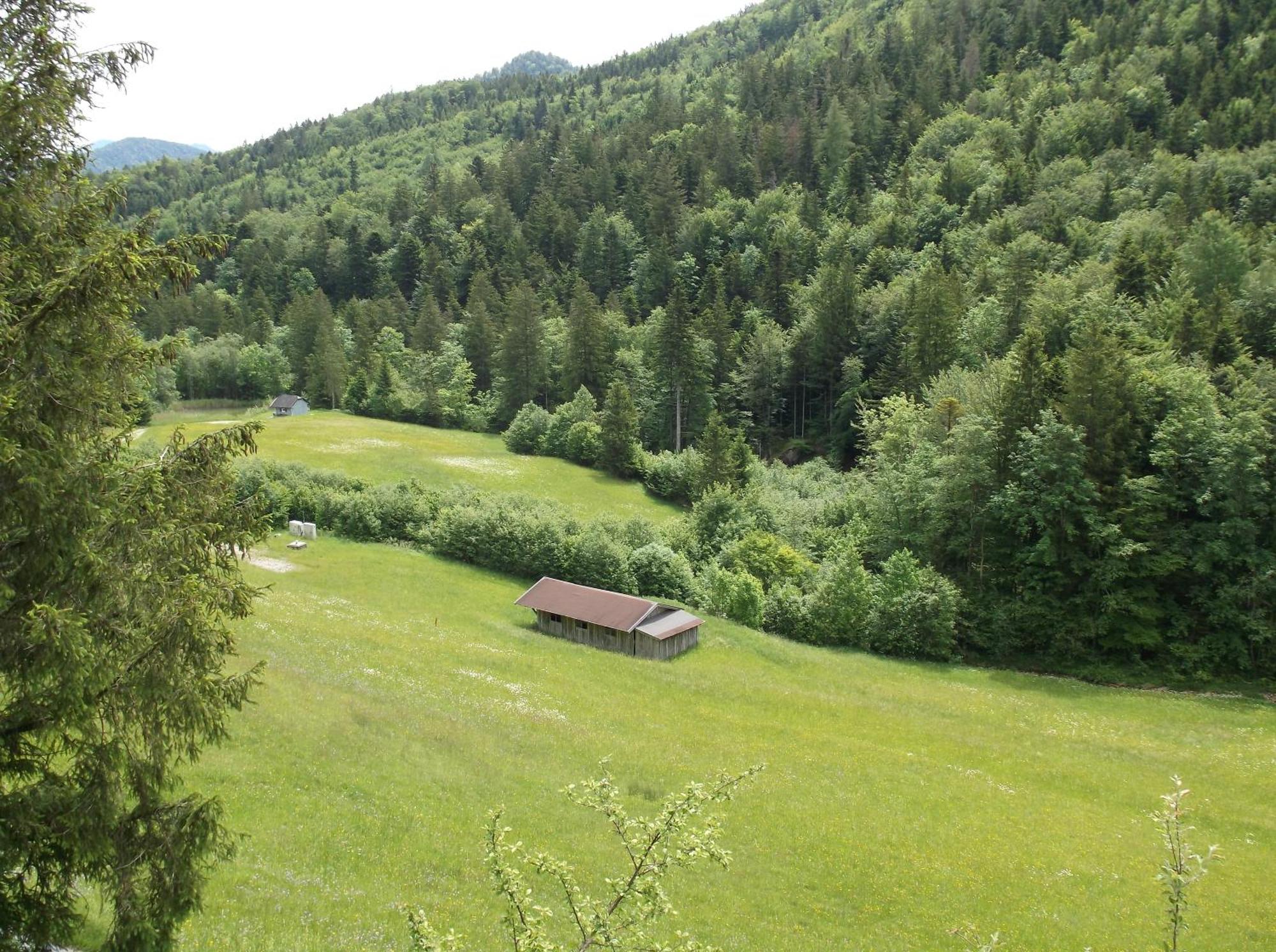Kleine Einfache In Malerischer Umgebung Salzburgs Koppl
